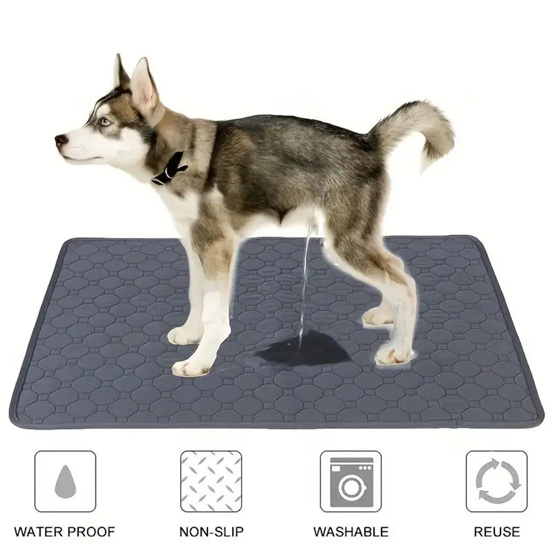 Dog Pee Pad Reusable Washable Dog Urine Mat Car Seat Floor Sofa Waterproof Absorbent Puppy Cat Training Diaper Mat (note sizes have been reported to be smaller)